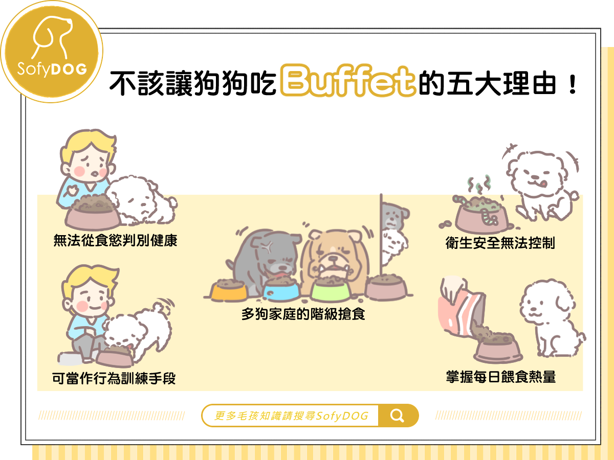 不該讓狗狗吃 Buffet 的五大理由!